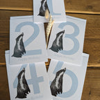 Badger Birthday Card 1-5 years