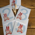 Squirrel Numbered Birthday Card