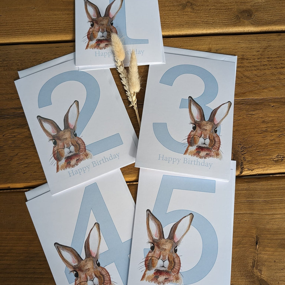 Bunny Birthday Numbered Cards