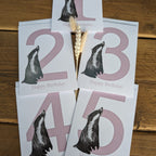 Badger Birthday Card 1-5 years
