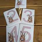 Bunny Birthday Numbered Cards