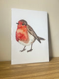 Robin Watercolour Print