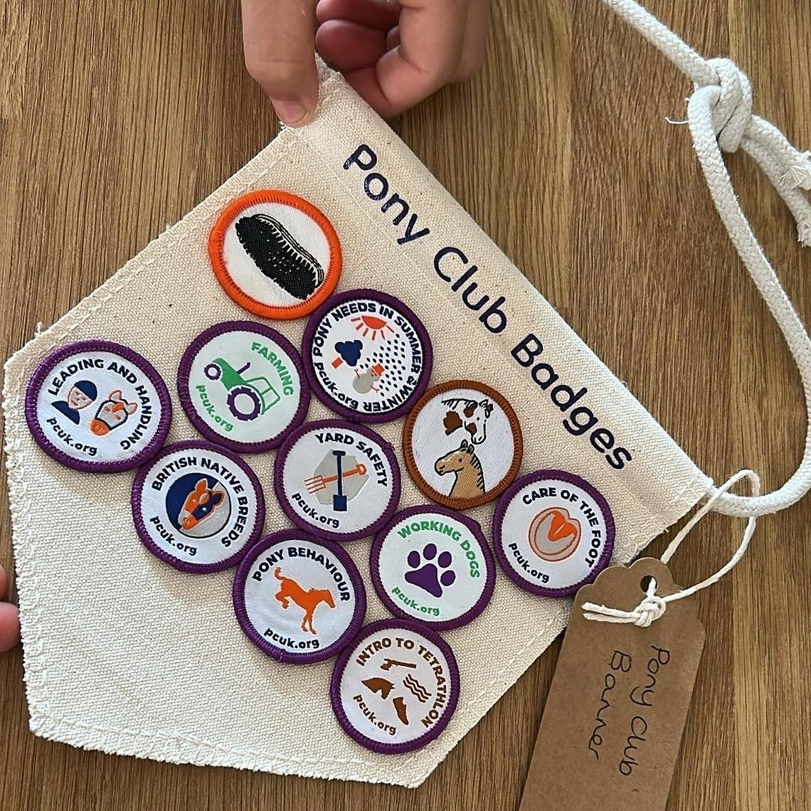 Pony Club Badge Holder